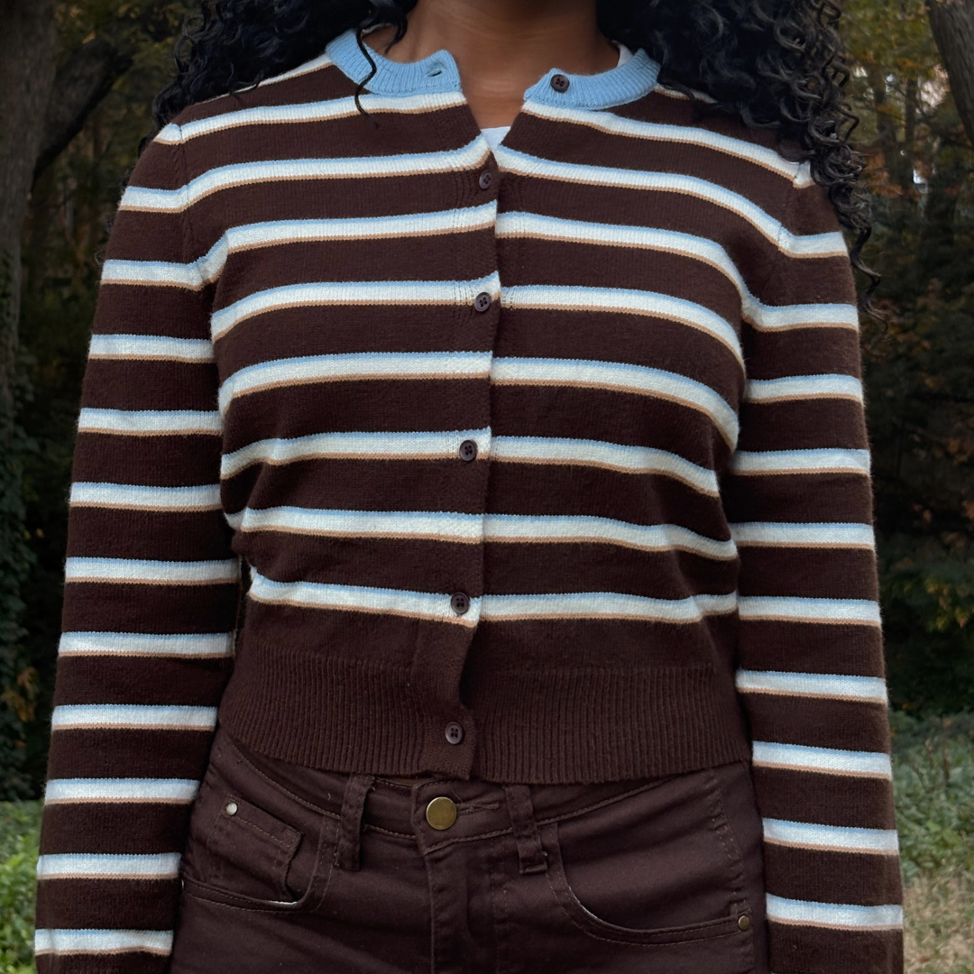 The Brown & Blue Striped Cardigan