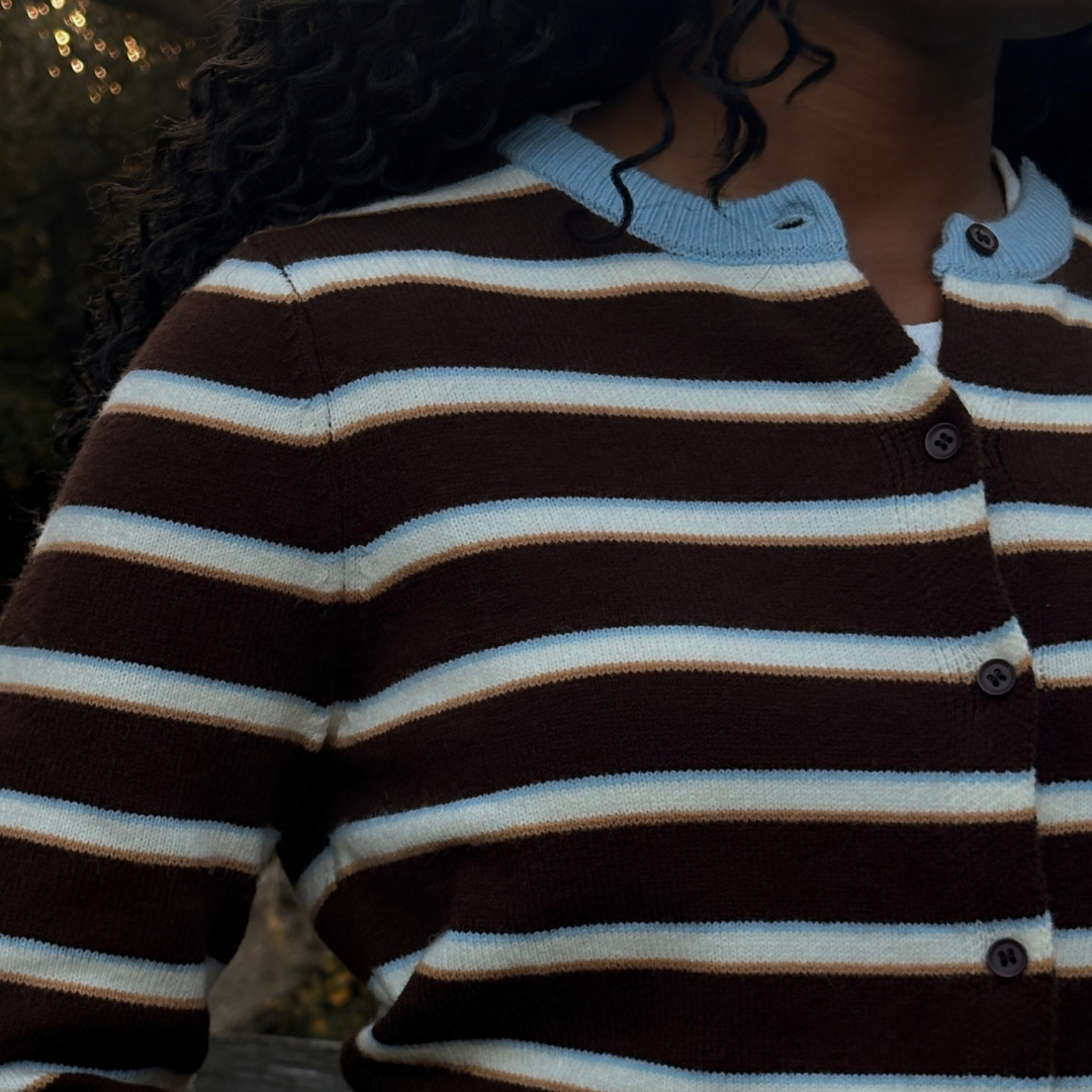 The Brown & Blue Striped Cardigan